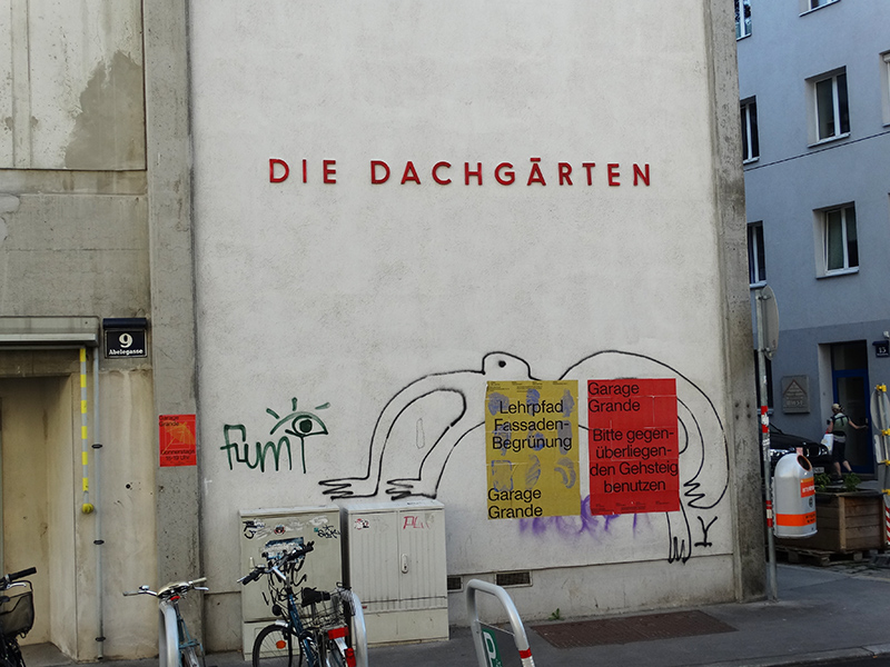 dachgaerten